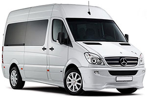 Mercedes Sprinter 313